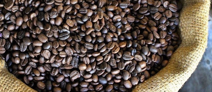 Café em coco custa R$ 6,41 kg em Maringá
