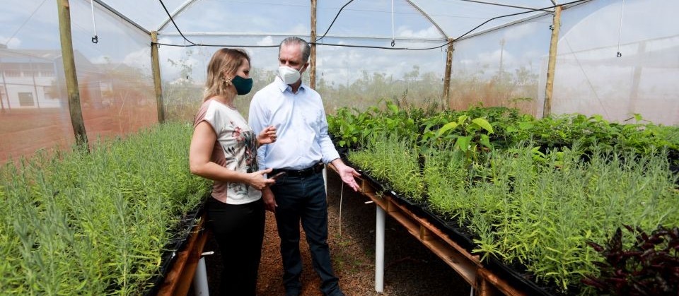 Viveiro da Colônia Penal de Maringá vai cultivar plantas comestíveis