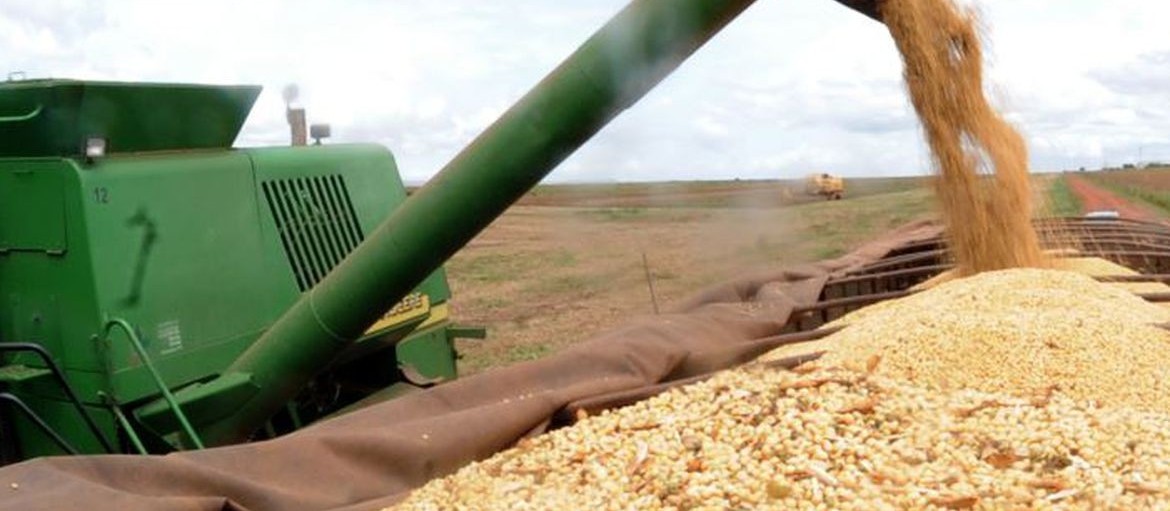 Seguro rural se consolida e ganha adesão de produtores paranaenses