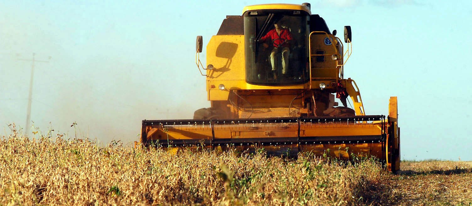 VBP agropecuário do Paraná de 2019 pode atingir R$ 93 bilhões