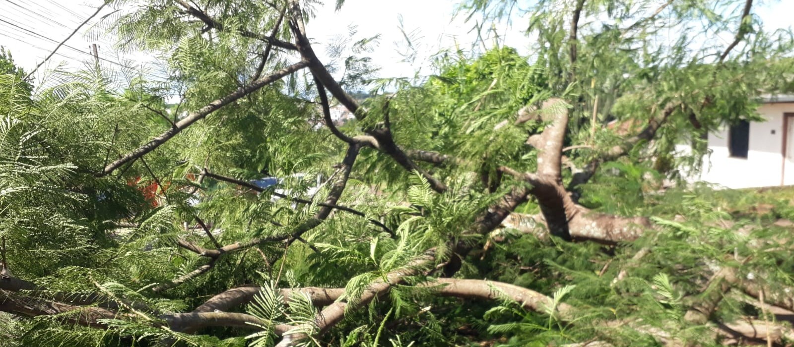 Temporal causa estragos em Cascavel; ventos chegaram a 88,2 Km/h