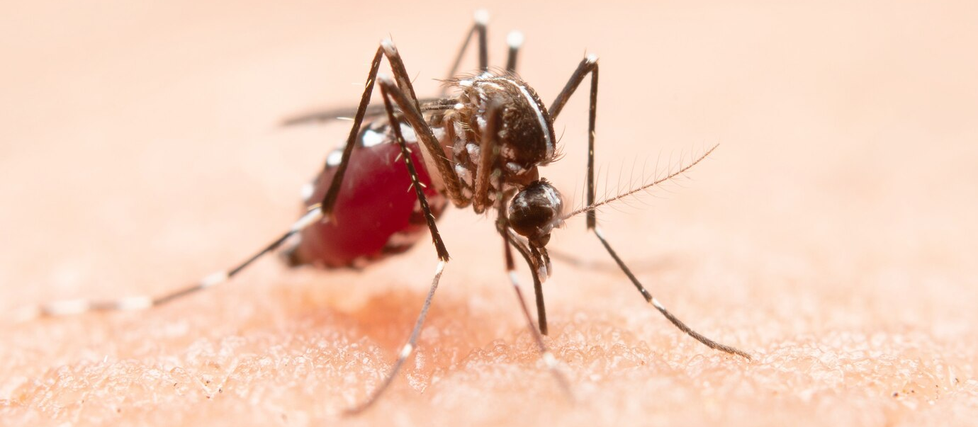 15ª Regional investiga morte de bebê com suspeita de dengue
