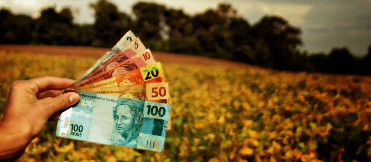 Governo inclui montante de R$ 1 bi para Programa de Subvenção ao Prêmio do Seguro Rural