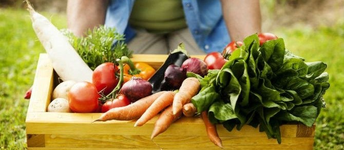 Quer aprender a manejar alimentos? Curso gratuito te ensina 