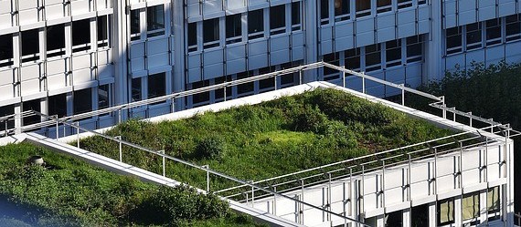 Microclima urbano é tema de estudo na Universidade de Sevilha, na Espanha