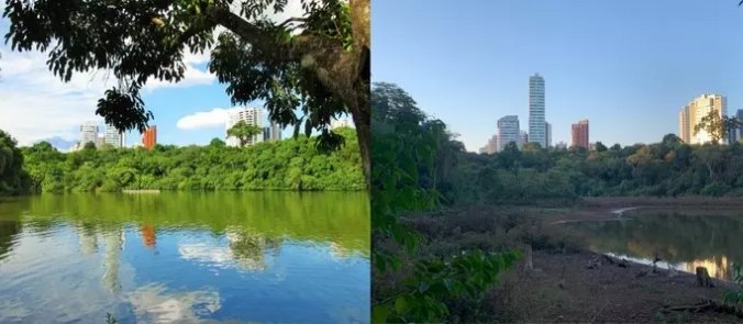 Imagens mostram lago do Parque do Ingá antes e depois da seca: ‘É muito grave’