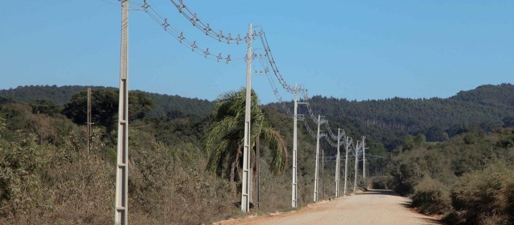 Paraná Trifásico já construiu 7.913 km de redes desde 2019