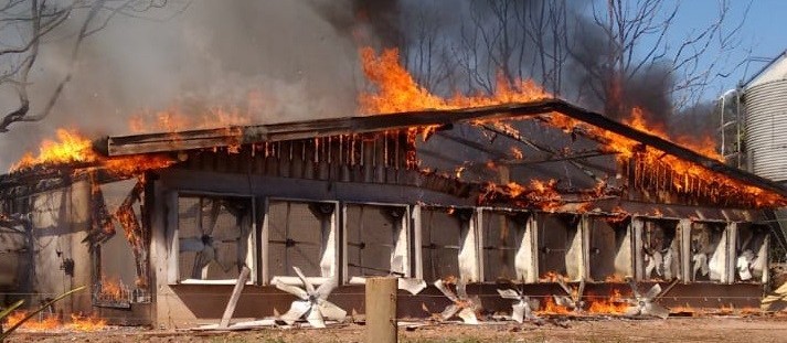 Incêndio destrói granja e mata quase 40 mil frangos