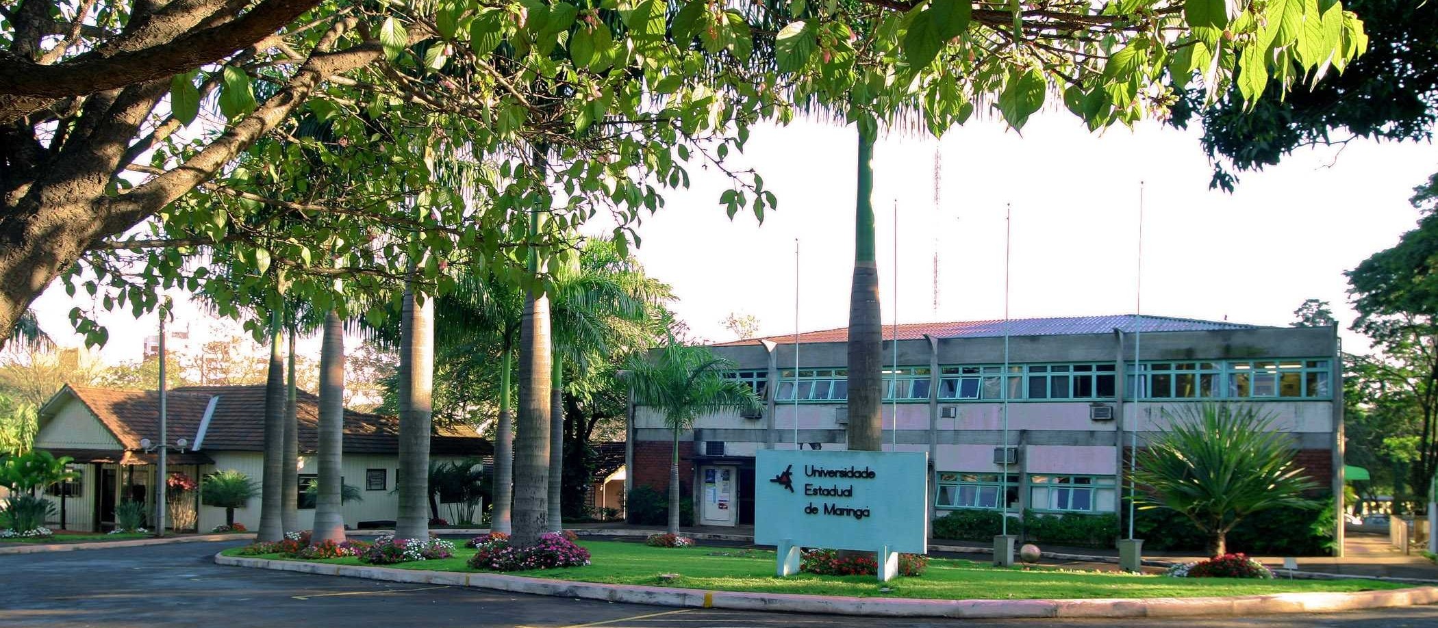 UEM vai ser multada por corte irregular de árvores