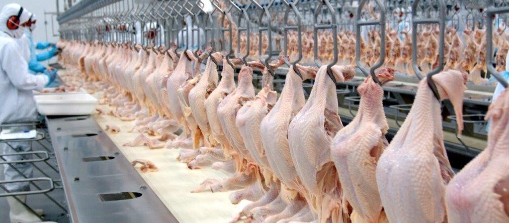 Exportação de carne de frango recua em fevereiro