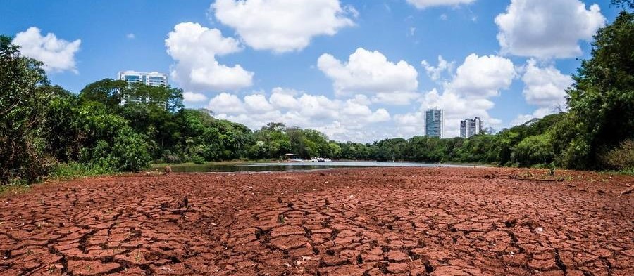 Estiagem: Vegetação avança sobre área que era do lago do Parque do Ingá