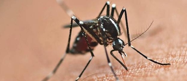 Rancho Alegre e Japurá entraram na lista de cidades em epidemia