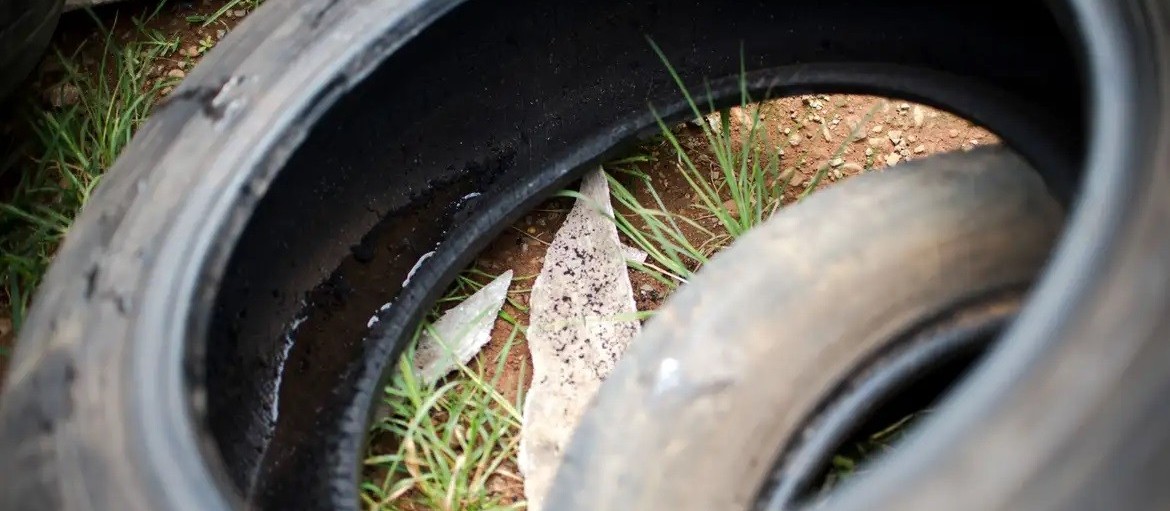 Rolândia confirma primeiro caso de chikungunya