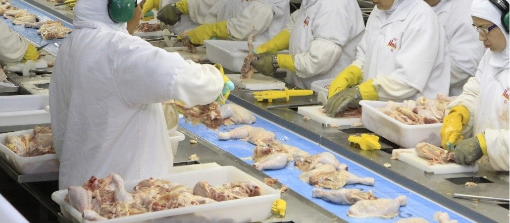 Se a greve não acabar, 90% da produção de proteína animal pode ser interrompida