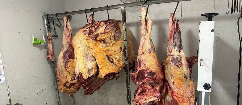 Dono de açougue é preso por receptação de carne de animal furtado no pasto
