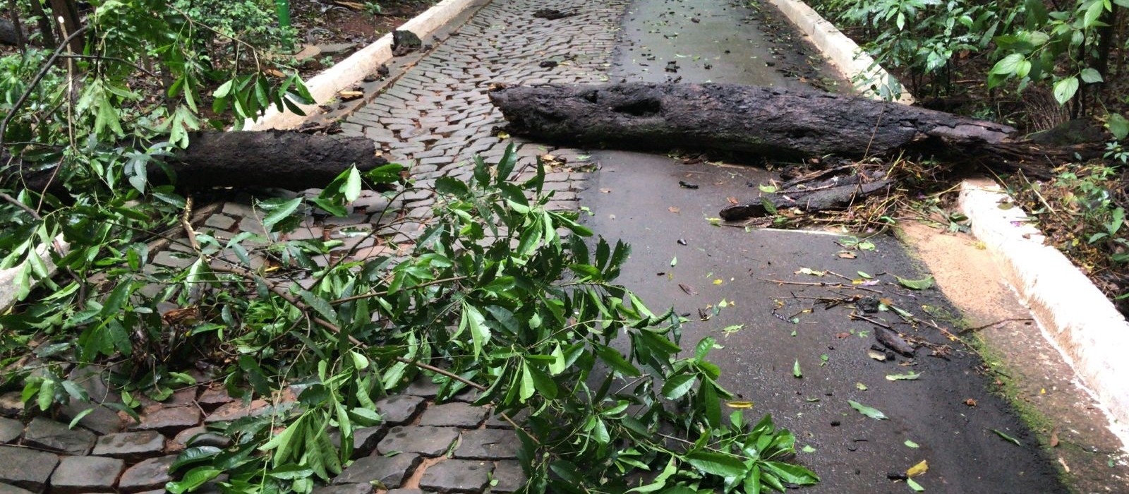 Parque do Ingá ficará fechado neste domingo (24) por causa do temporal