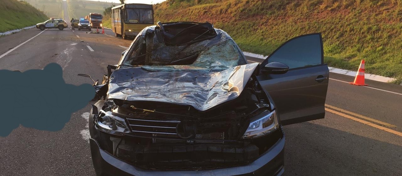 Carro atropela e mata idoso e cavalo na BR-487