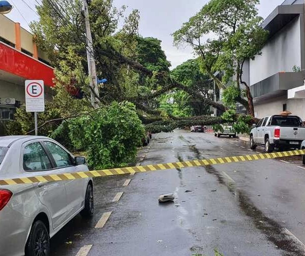 Chuva derruba mais de 30 árvores e deixa cerca de 10 mil imóveis sem energia em Maringá