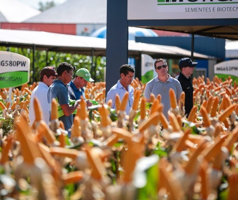 Participação de produtores do Show Rural em Cascavel é alta