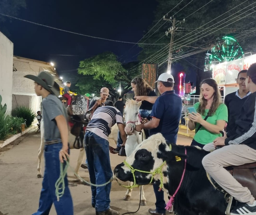Bois e pôneis fazem sucesso entre as famílias