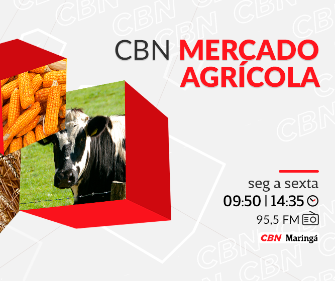 Soja negociada a R$ 118 a saca de 60 kg