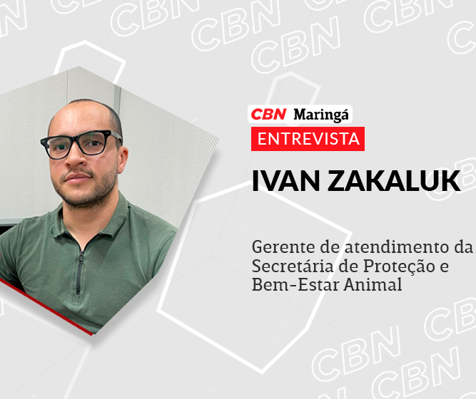 Desde 2017, foram realizadas 36.315 castrações de cães e gatos em Maringá