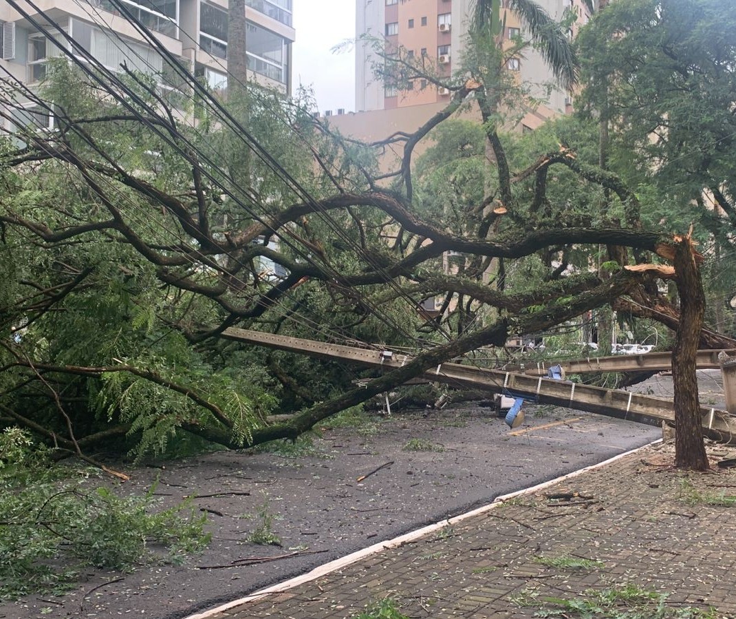 Defesa Civil registra mais de 500 chamados por causa da chuva