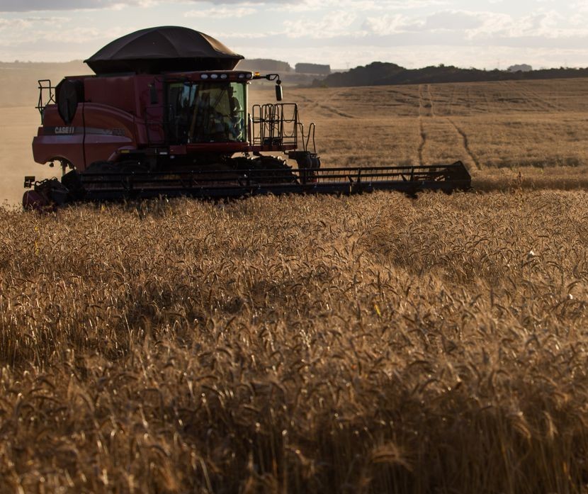 Brasil aguarda aumento nas exportações de trigo em 2022
