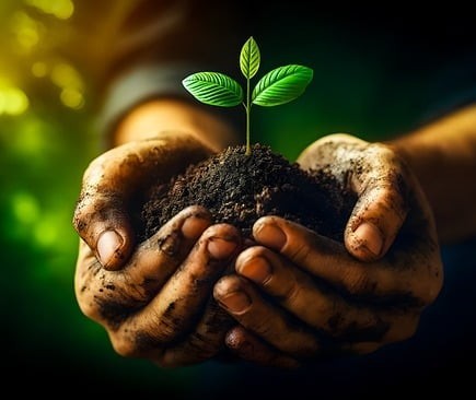Como os eventos podem ser sustentáveis?