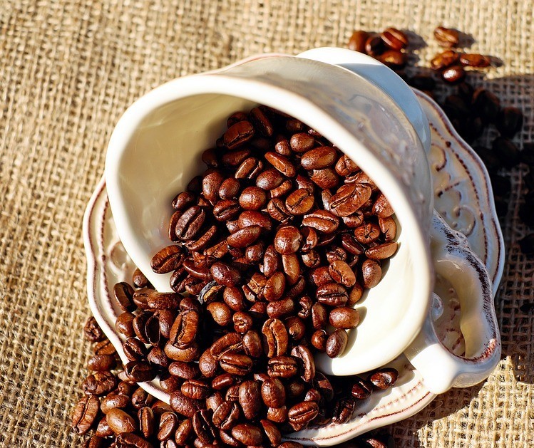 Preço baixo do café preocupa agricultores
