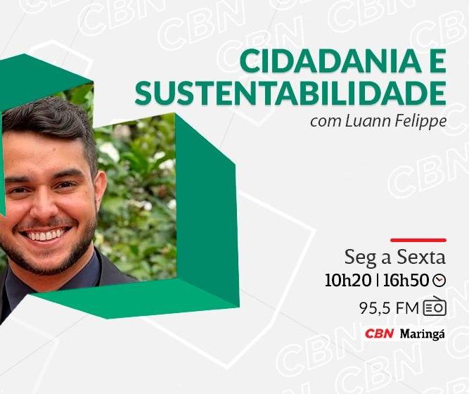 Solução sustentável usa mexilhões para monitorar a pureza da água