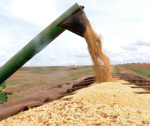 Soja custa R$ 77 a saca em Campo Mourão