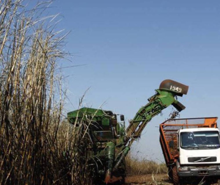 Venda de etanol na 1ª quinzena de fevereiro cresce, diz Unica