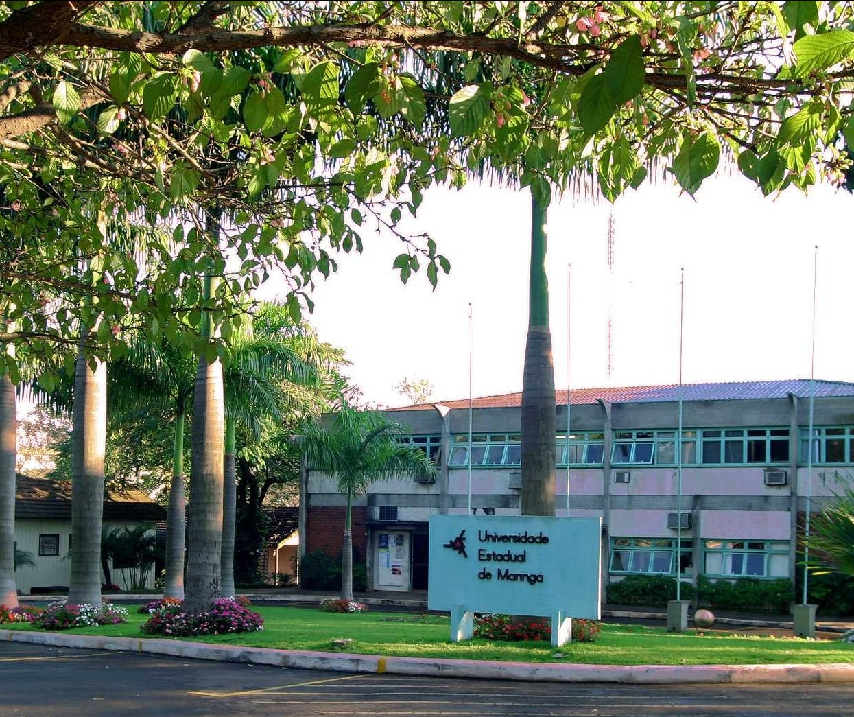 Regulamentação do Tide segue para Assembleia Legislativa