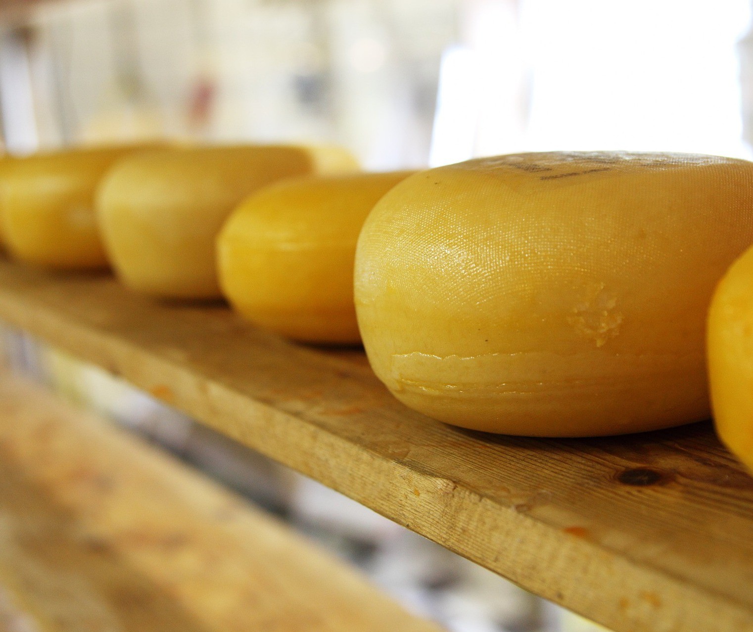 Paraná lança prêmio para queijos produzidos no Estado