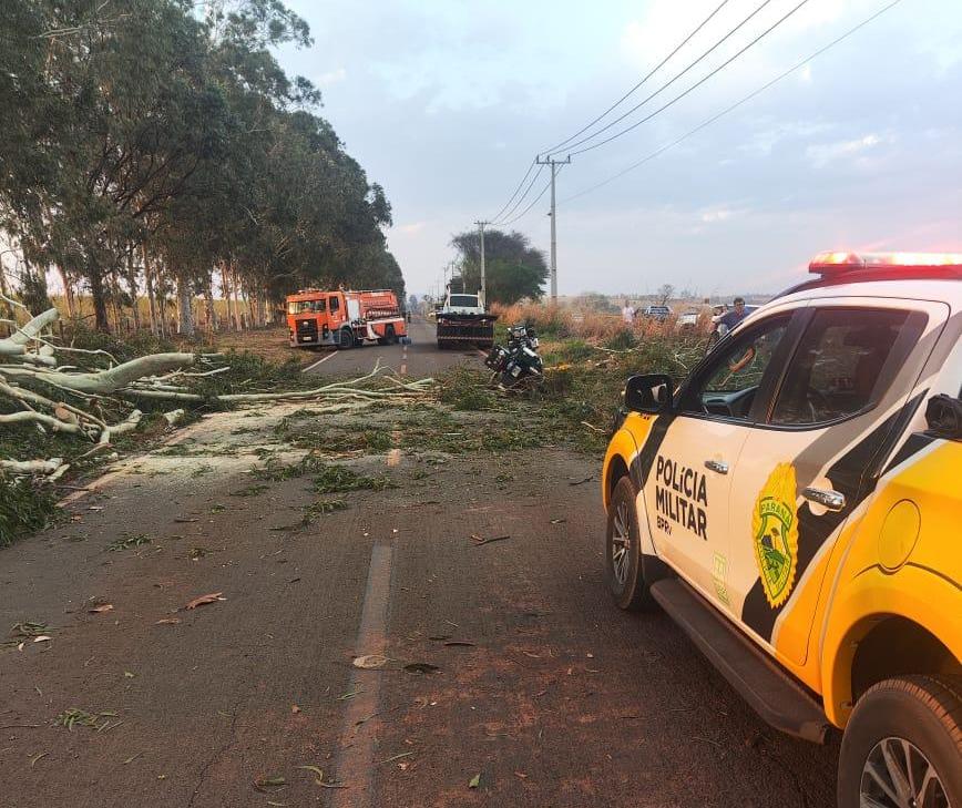 Motociclista é atingida por árvore e morre na PR-180