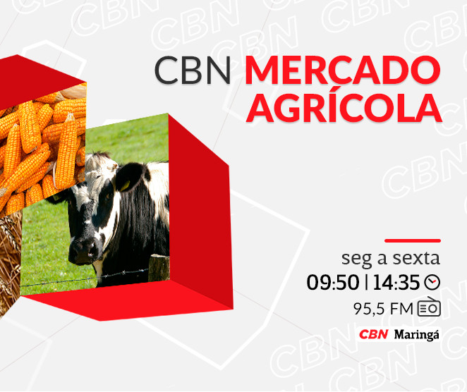 Café beneficiado oscila para R$ 1.945,00 por saca