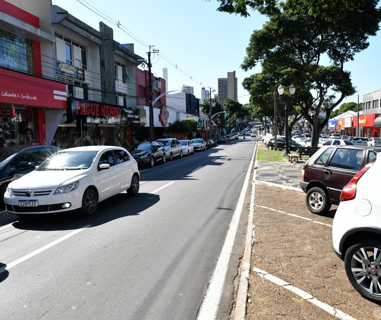 Empresas e moradores de Umuarama terão que plantar árvores na calçada