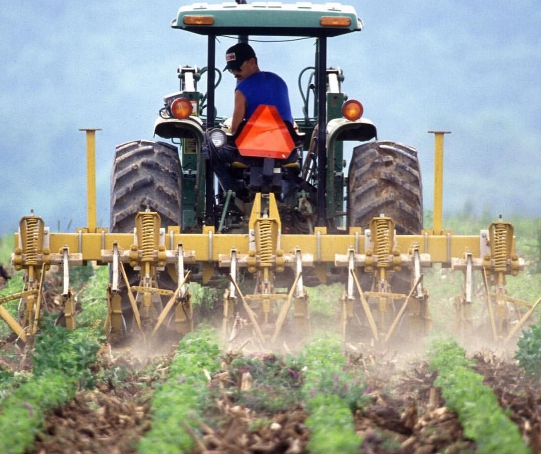 Produtores rurais poderão ter o CAD/PRO cancelado a partir de 11 de julho