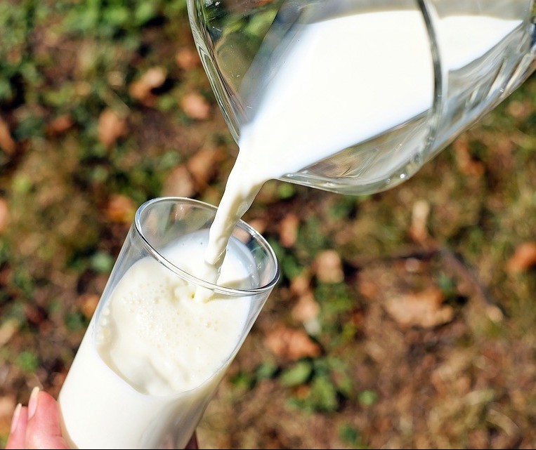 Paraná é o segundo estado que mais produz de leite no país