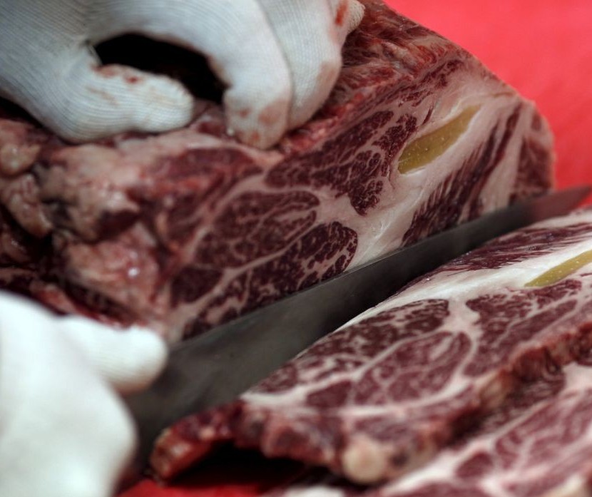 Exportações de carne bovina apresentam queda em novembro