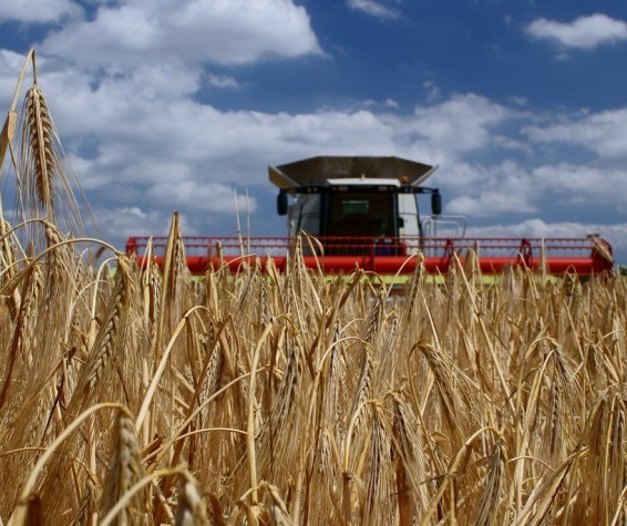 Os impactos do coronavírus no agronegócio paranaense 