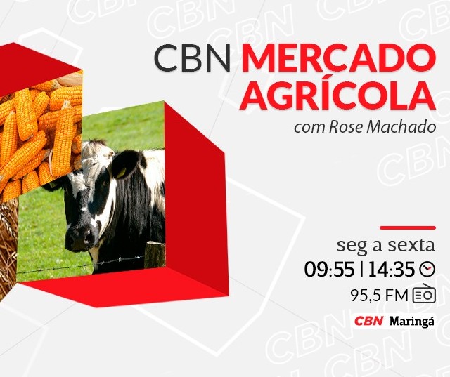 Trigo é vendido a R$ 92 a saca em Maringá e Cascavel