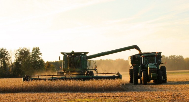 Clima é favorável para todas as atividades agrícolas