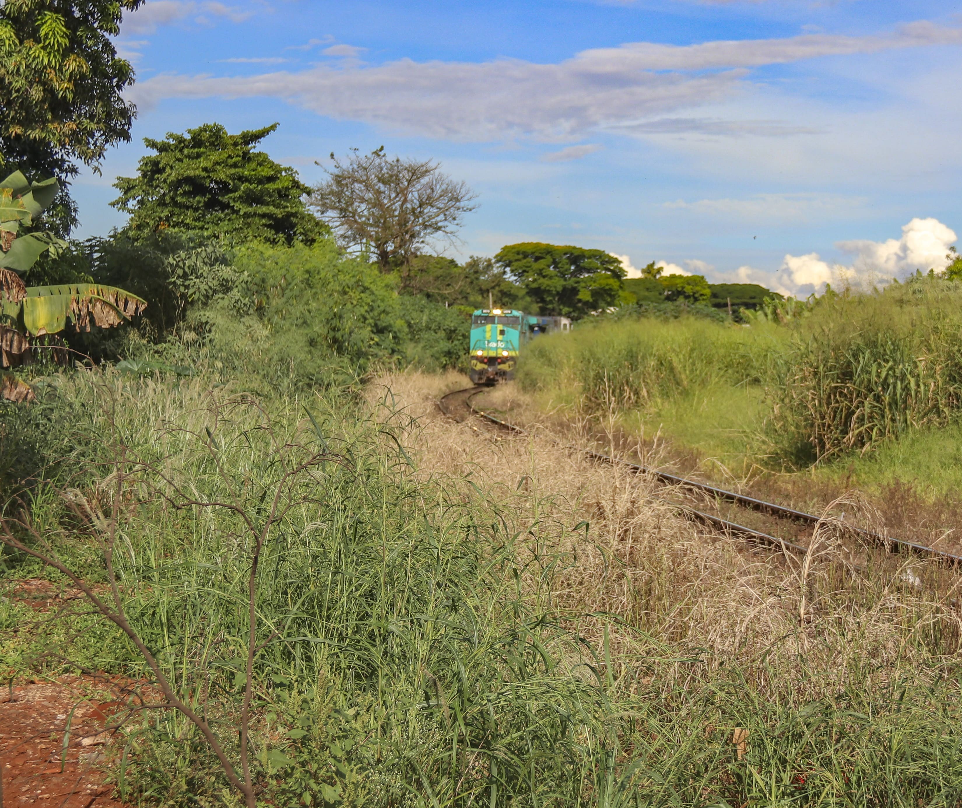 Meio Ambiente de Sarandi multa concessionária de ferrovia em R$ 235 mil 