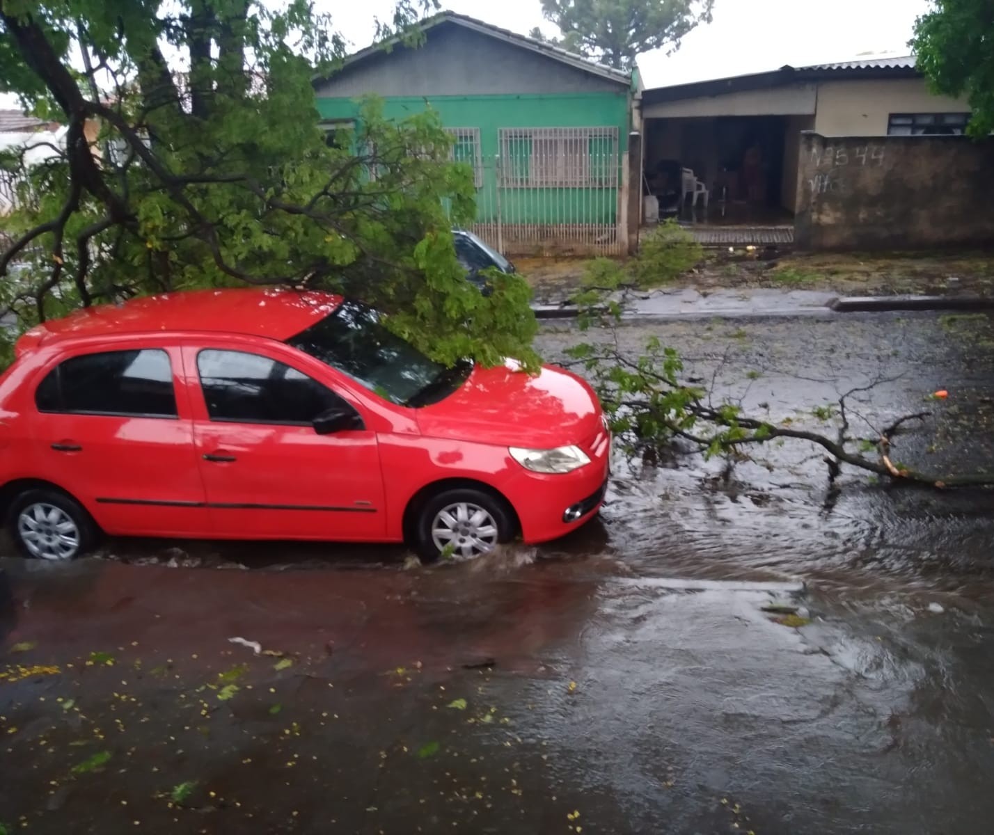 Temporal derrubou 119 árvores em Maringá