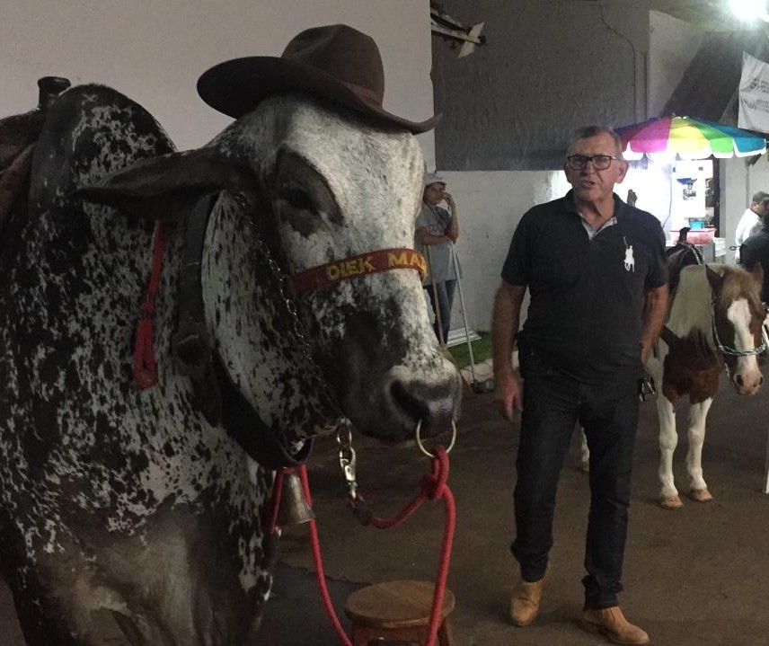 Passeios em pequenos animais divertem crianças durante a Expoingá