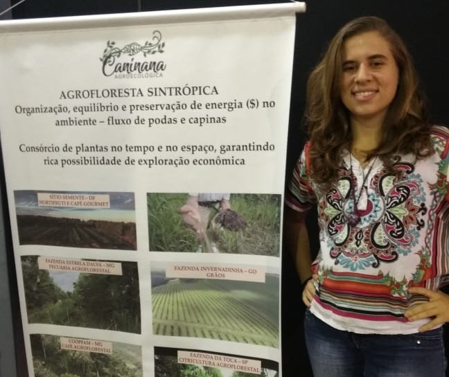 Agrofloresta: cultivo sem desmatamento cresce no país