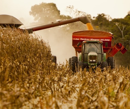 VBP da agropecuária deve encerrar o ano em R$ 609 bi, estima Ministério da Agricultura 