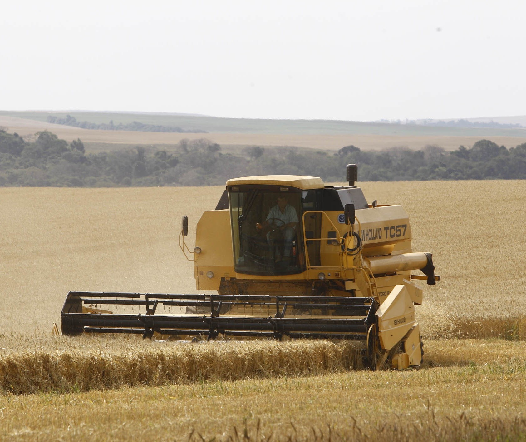 Seguro Rural: o que aconteceu neste ano e o que está previsto para 2020